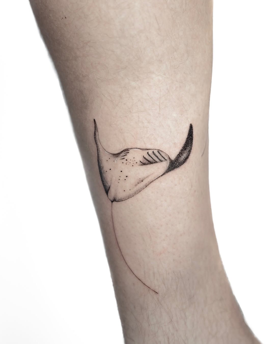 Manta Pair, tattoo by Michaela
